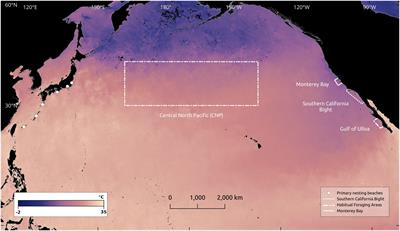 Ethnobiological methods enhance our capacity to document potential climate sentinels: a loggerhead sea turtle (Caretta caretta) case study